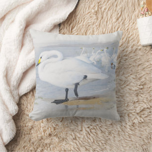  Bewick's swan, Birds illustration Cushion