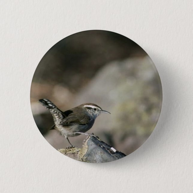 Bewick's wren 6 cm round badge (Front)