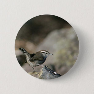 Bewick's wren 6 cm round badge