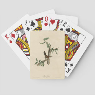 Bewick's Wren from Audubon's Birds of America Playing Cards