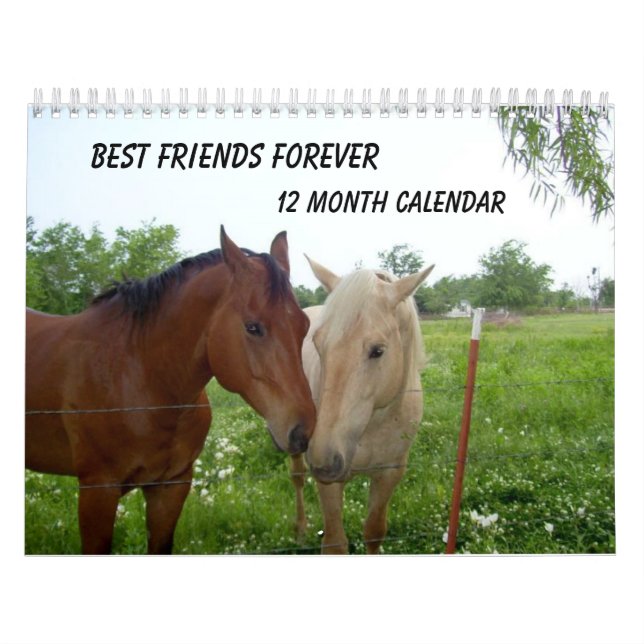 BFF-Best Friends Forever - 12 Month Calendar (Cover)