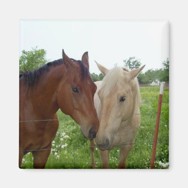 BFF Best Friends Forever - Horses Magnet (Front)