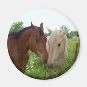 BFF Best Friends Forever - Horses Magnet