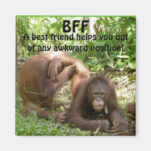 BFF Best Friends Forever Magnet