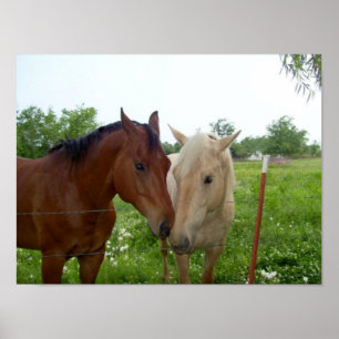 BFF Best Friends Forever Poster