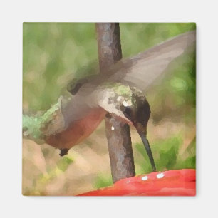 BG- Hummingbird Magnet