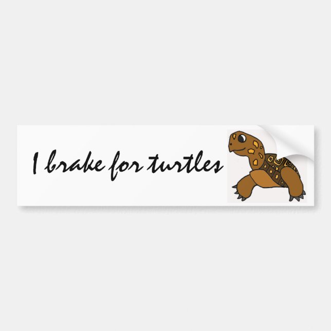 BG- I brake for turtles stickers (Front)