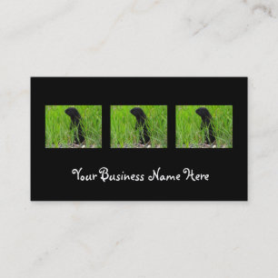 BGRO Black Ground Squirrel Business Card