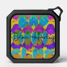 BH Signature Speaker