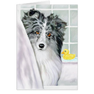 Bi Blue Sheltie Bath
