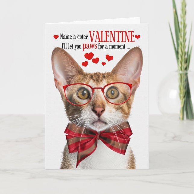 Bi-Coloured Oriental Cat Valentine Feline Humour Holiday Card (Front)