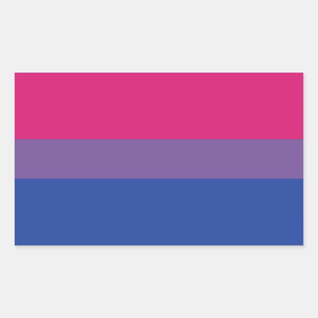 Bi Flag Rectangular Sticker (Front)