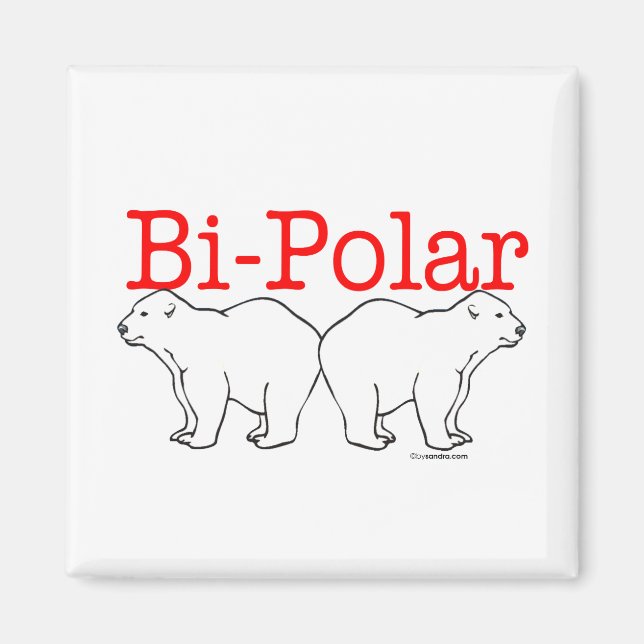 Bi-Polar Magnet (Front)