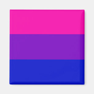 Bi pride flag magnet