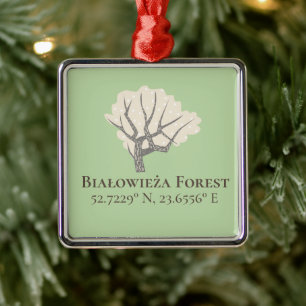 Białowieża Forest Latitude & Longitude  Metal Ornament