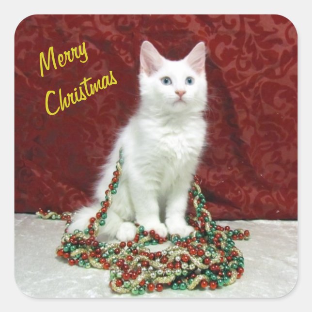 Bianca's Maine Coon Christmas - Cat / Kitten  Square Sticker (Front)
