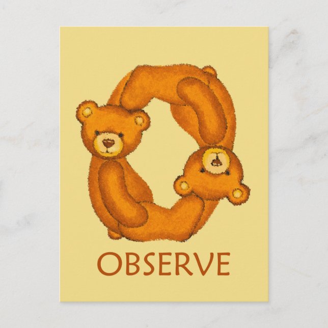 Bible Bears ~ Observe Scripture 2 Postcard (Front)
