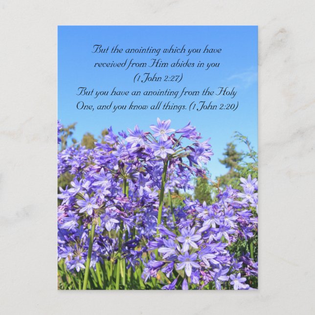 Bible passage, blue flowers & blue sky postcard (Front)