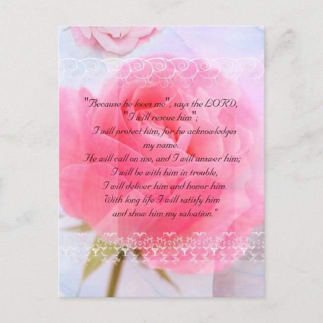 Bible passage, pink roses on blue postcard (Front)