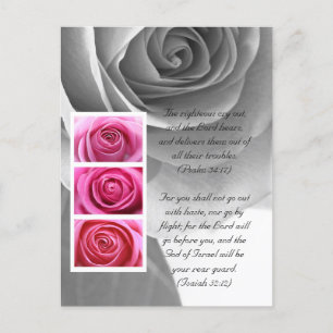 Bible passage, rose close up black and white postcard