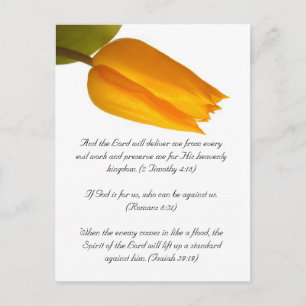 Bible passage, yellow tulip postcard
