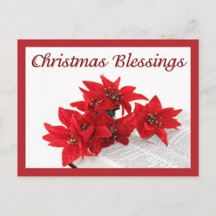 Bible Poinsettias Postcard