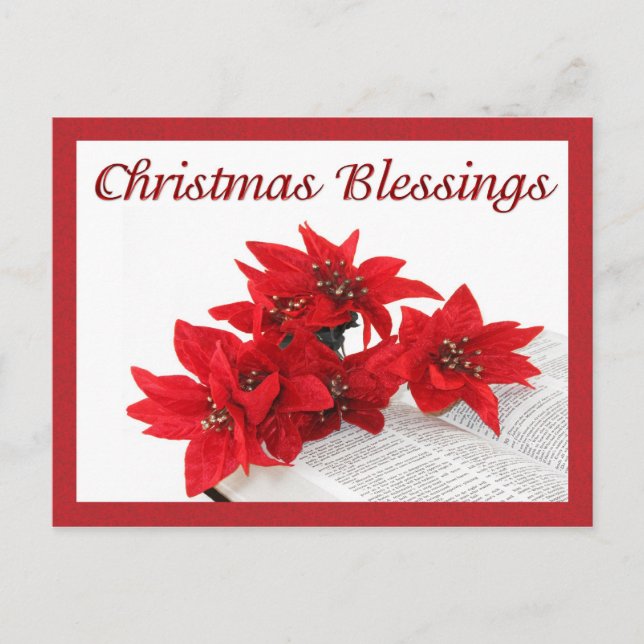 Bible Poinsettias Postcard (Front)