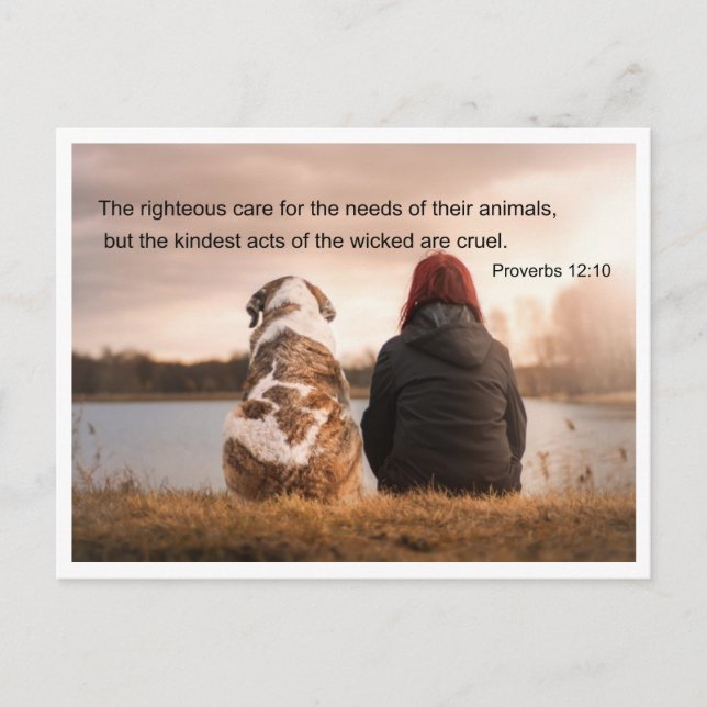 Bible quotation Proverbs 12 v 10 Postcard (Front)