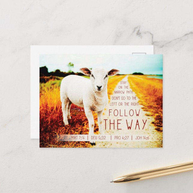 Bible Quote Follow the Way Postcard (Front/Back In Situ)