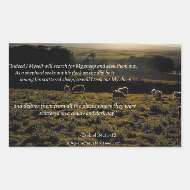 Bible Quotes Rectangular Sticker (Front)