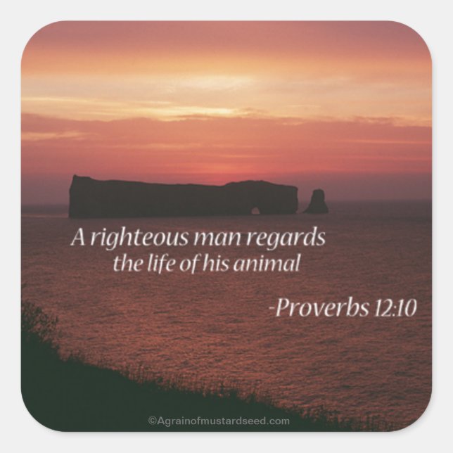 Bible Quotes Square Sticker (Front)
