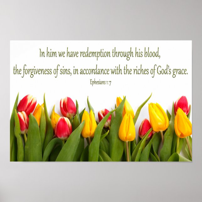 Bible Scripture Ephesians 1: 7 Colourful Tulips Poster (Front)