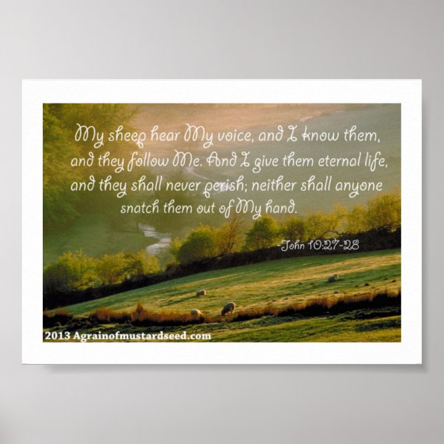 Bible Scripture Prayers Poster (Front)