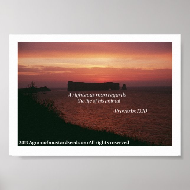 Bible Scripture Prayers Poster (Front)