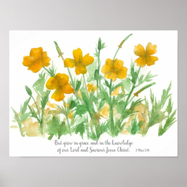 Bible Verse 2 Peter 3 18 California Poppies Poster (Front)