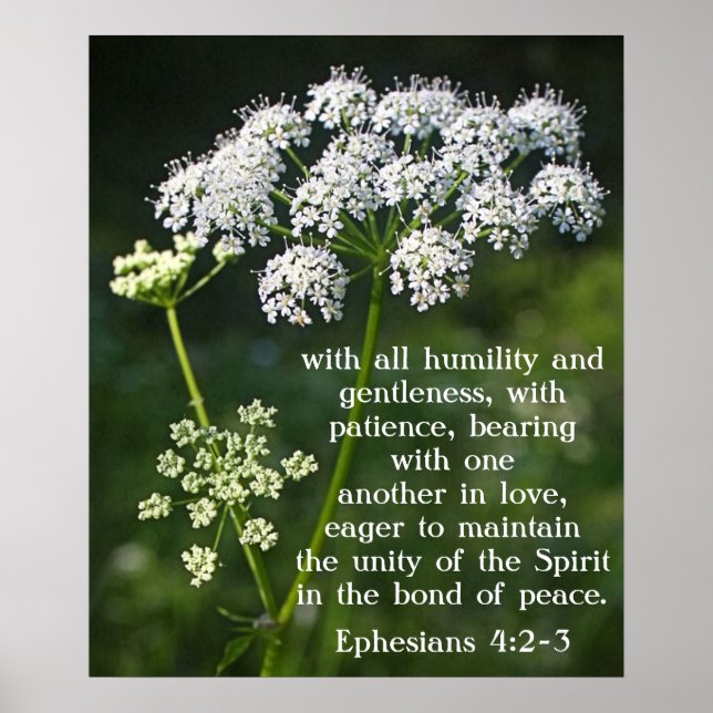 Bible verse about Love Ephesians 4:2-3 Poster (Front)
