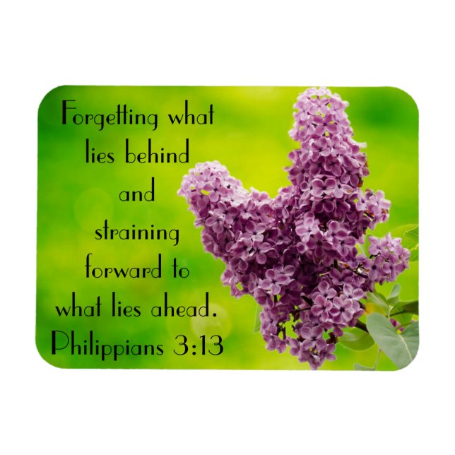 Bible verse encouragement Philippians 3:13 Magnet (Horizontal)