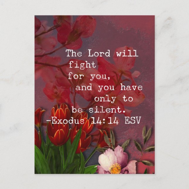 Bible Verse Exodus 14:14 Postcard (Front)