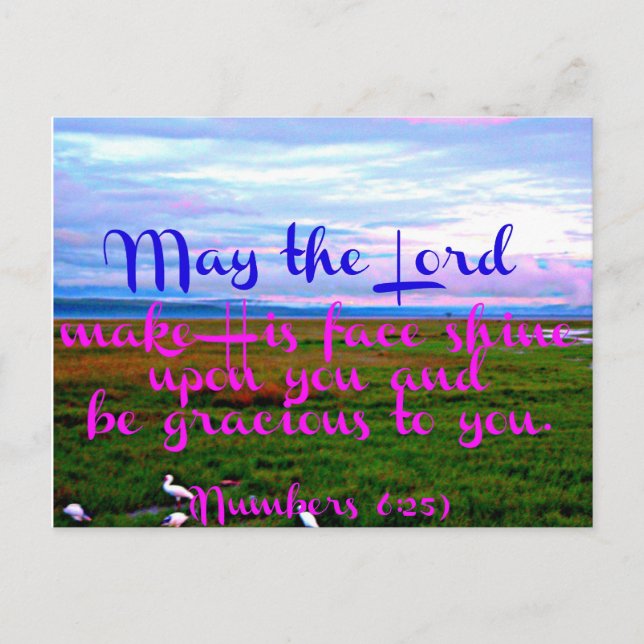 Bible verse from Numbers May the Lord make Postcard (Front)