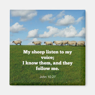 Bible verse, John 10:27, Magnet