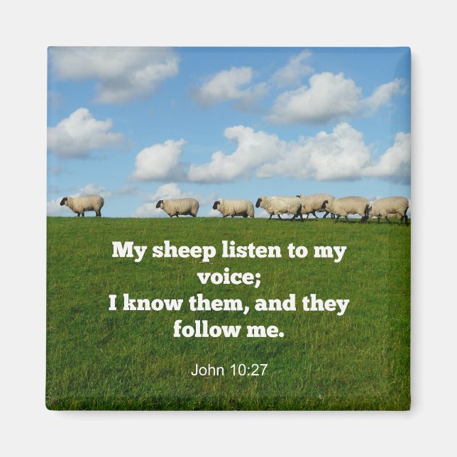 Bible verse, John 10:27, Magnet (Front)