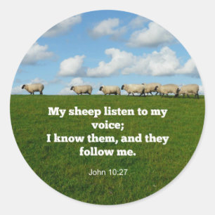 Bible verse, John 10:27, My sheep... Classic Round Sticker