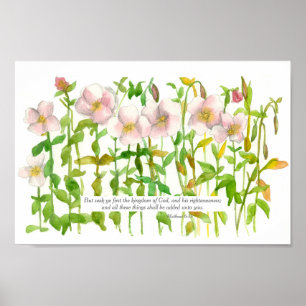 Bible Verse Matthew 6 33 Pink Primrose Flowers Poster