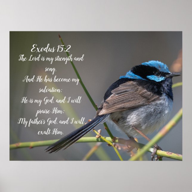 Bible Verse  Poster (Front)