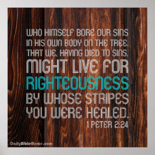 Bible Verse Poster - 1 Peter 2:24