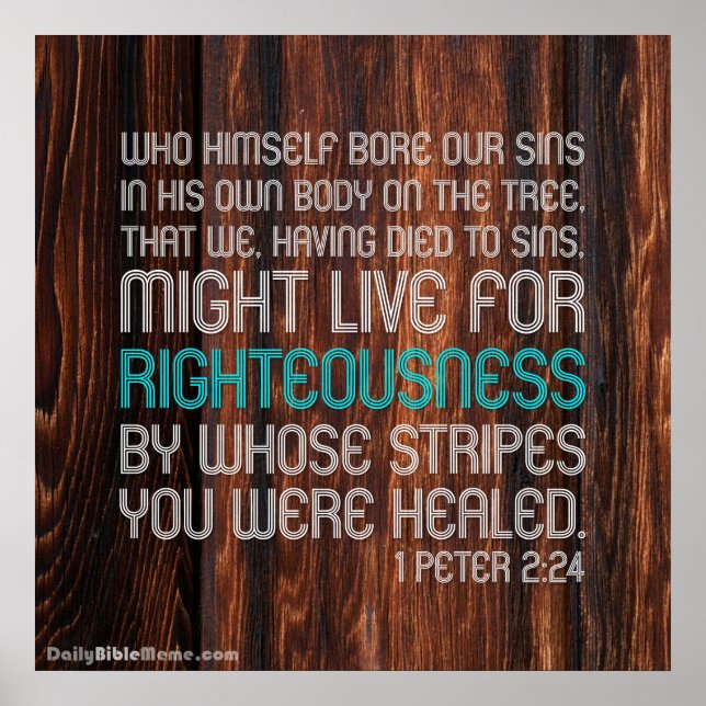 Bible Verse Poster - 1 Peter 2:24 (Front)