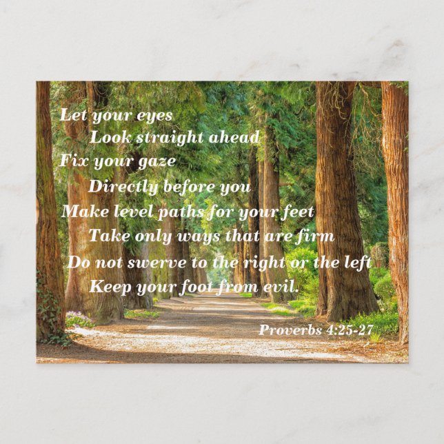 Bible Verse Proverbs 4:25-27 Postcard (Front)