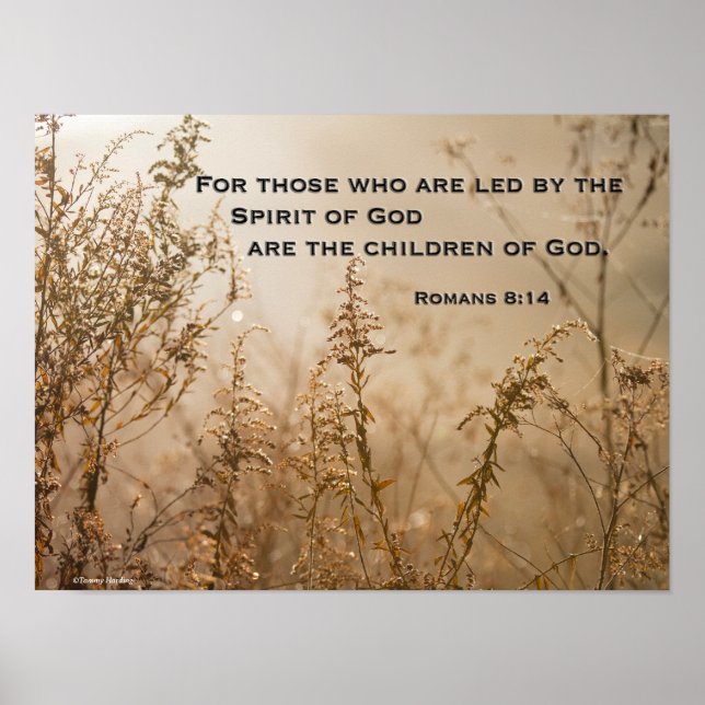 Bible Verse Romans 8:14 Spirit of God Poster (Front)