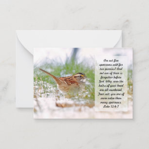 Bible Verse Scripture Note Card Sparrow Religion