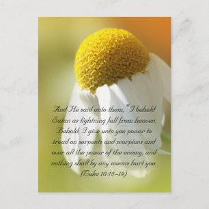 Bible verses, Daisy Postcard
